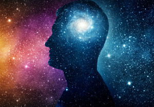 The Human Brain as a Transducer