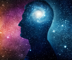 The Human Brain as a Transducer