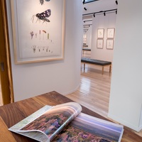 Gallery - Grootbos Florilegium - Xplorioâ„¢ Gansbaai