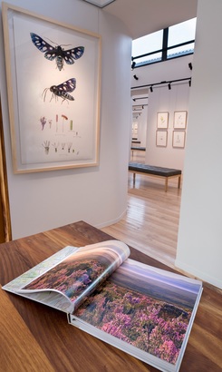 web_grootbos_florilegium_gallery_19_1678458003