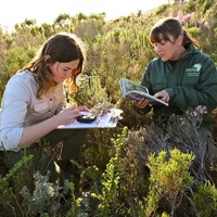 Grootbos Foundation - Grootbos Florilegium - Xplorioâ„¢ Gansbaai