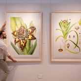 Gallery - Grootbos Florilegium - Xplorioâ„¢ Gansbaai