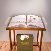 Gallery - Grootbos Florilegium - Xplorioâ„¢ Gansbaai