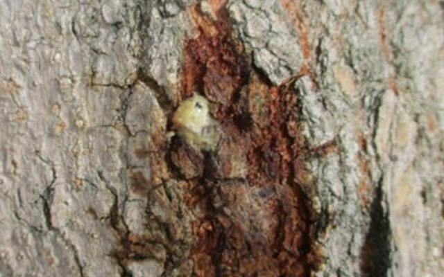 335059189_596094772379822_2939205293997939852_n_1678706369