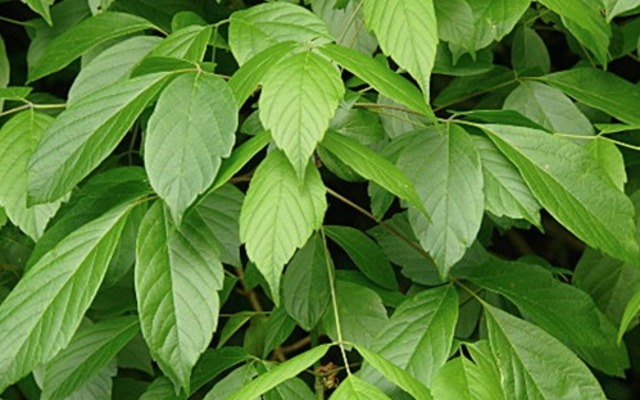 335096118_1160103788033856_7247400412141396006_n_1678706369