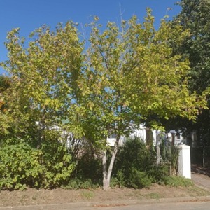 335276265_896077851610601_7603352971904107149_n_1678706368