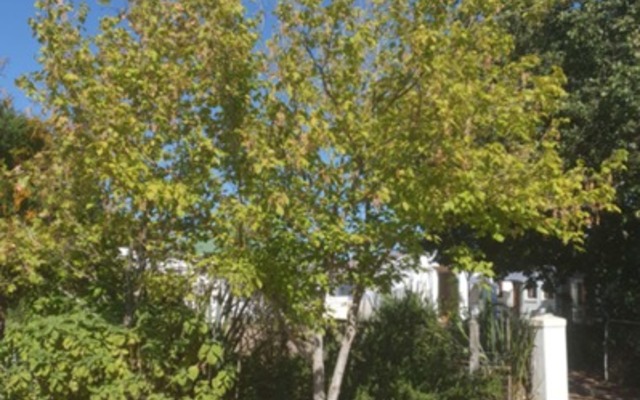 335276265_896077851610601_7603352971904107149_n_1678706368