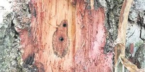 335352393_1821701484881463_5255124191239512775_n_1678706370