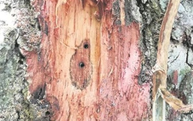 335352393_1821701484881463_5255124191239512775_n_1678706370