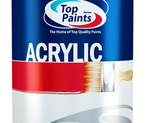 Top Paints Skim Plaster