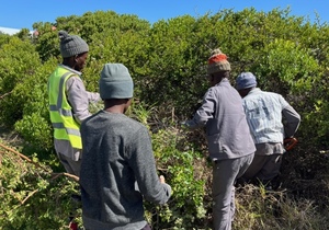 Cutting Firebreaks and UpcomingÂ Cleanup