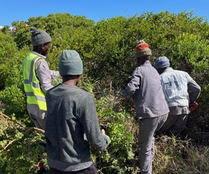 Cutting Firebreaks and UpcomingÂ Cleanup