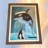 Frame for artwork - M + S Designs - Xplorioâ„¢ Gansbaai