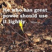 Never Mistake Force for Power