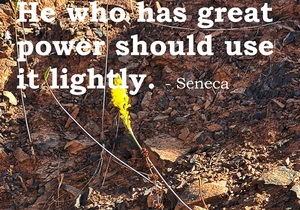 Never Mistake Force for Power