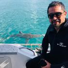 Shark Cage Diving - White Shark Projects - Xplorioâ„¢ Gansbaai