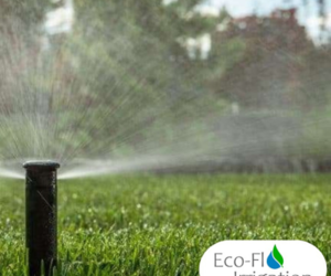 Automate Watering Your Garden