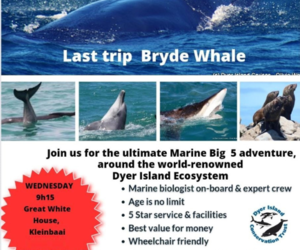 Next Dyer Island Marine Big 5 Tour: 29 March 2023