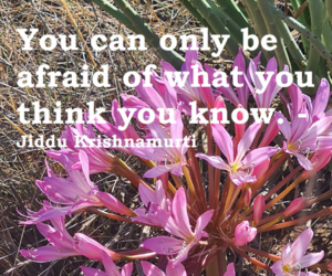 Don't let your beliefs of yourself limit you!