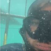 Shark Cage Diving