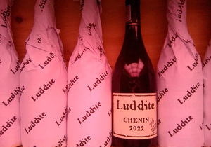 Now in Stock: Luddite Chenin Blanc