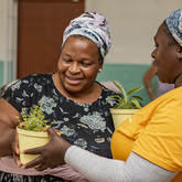 Community Garden Seedlings - i-MED Africa - Xplorioâ„¢ Gansbaai