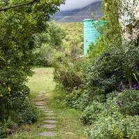 Garden - Greyton Ecolodge - Xplorioâ„¢ Greyton
