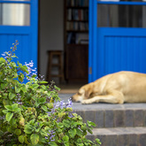 Entrance - Greyton Ecolodge - Xplorioâ„¢ Greyton