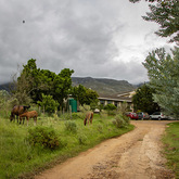 Lodge Entrance - Greyton Ecolodge - Xplorioâ„¢ Greyton