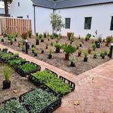 Fynbos Gardens
