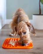 Lecca Lick Mat
