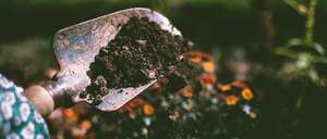 How to Prepare Your Soil for a Vegetable Garden