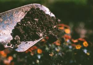 How to Prepare Your Soil for a Vegetable Garden