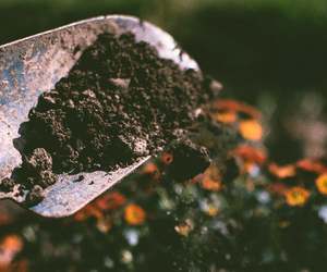 How to Prepare Your Soil for a Vegetable Garden