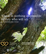 There's nothing impossible to they who will try