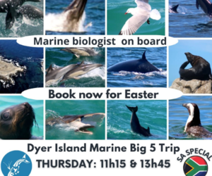 Next Dyer Island Marine Big 5 Tour: 6 April 2023