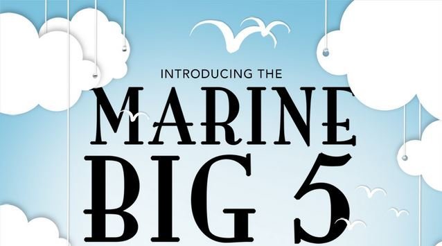 marine-big-five-infographic