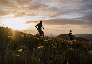 5 August 2023:Â Merrell Whale of Trail 53km and 35km