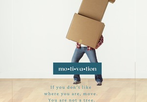 If You Don't Like Where You Are, Move