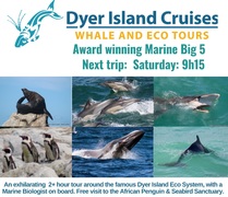 Next Dyer Island Marine Big 5 Tour: 15 April 2023