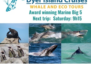 Next Dyer Island Marine Big 5 Tour: 15 April 2023