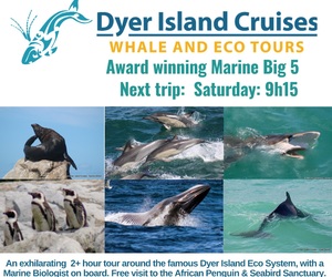 Next Dyer Island Marine Big 5 Tour: 15 April 2023