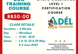 Basic Obedience Dog Training Course - Level 1