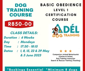 Basic Obedience Dog Training Course - Level 1