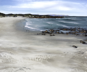 Why Buy Art From An Artist - 5 Reasons