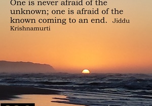 Embrace Change Everyday