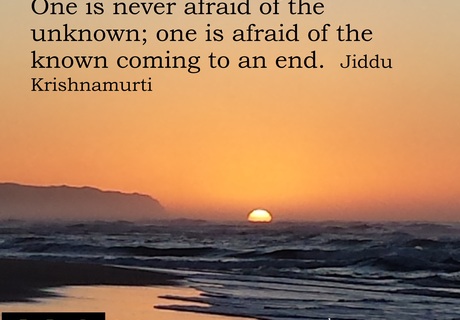 Embrace Change Everyday