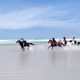Horse Riding - Pearly Beach Horse Trails - Xplorioâ„¢ Gansbaai