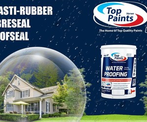 Top Paints: Waterproofing