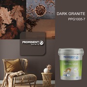 Prominent Paints:Â Dark Granite